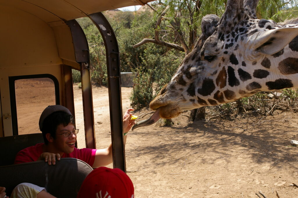 Hands on experience at Out of Africa Wildlife Park in Arizona